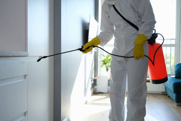 Best Crawl Space Mold Removal  in Washington, WV