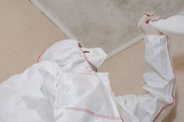 Best Emergency Mold Removal  in Washington, WV