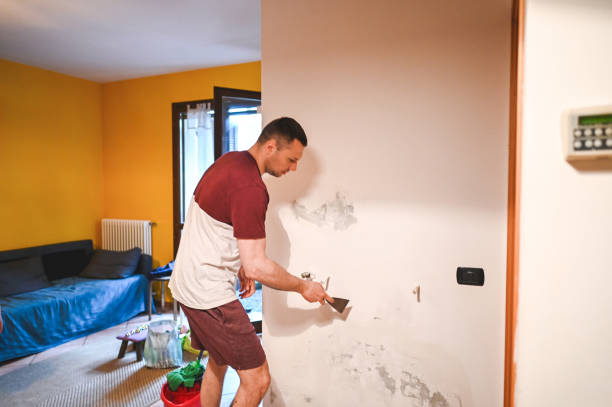 Best Fast Mold Removal  in Washington, WV